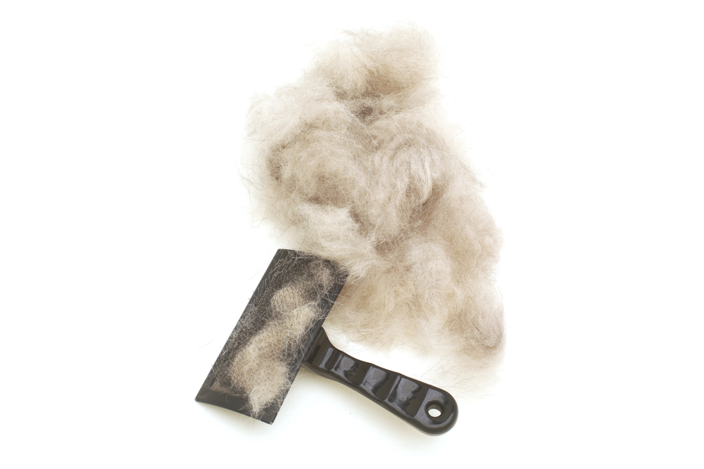 
Brush for wool. Dog hair with a comb for shedding hair 