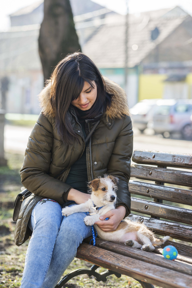 Kromfohrlander dog puppie sitting on park bench with her owner. brunette girl with her dog.