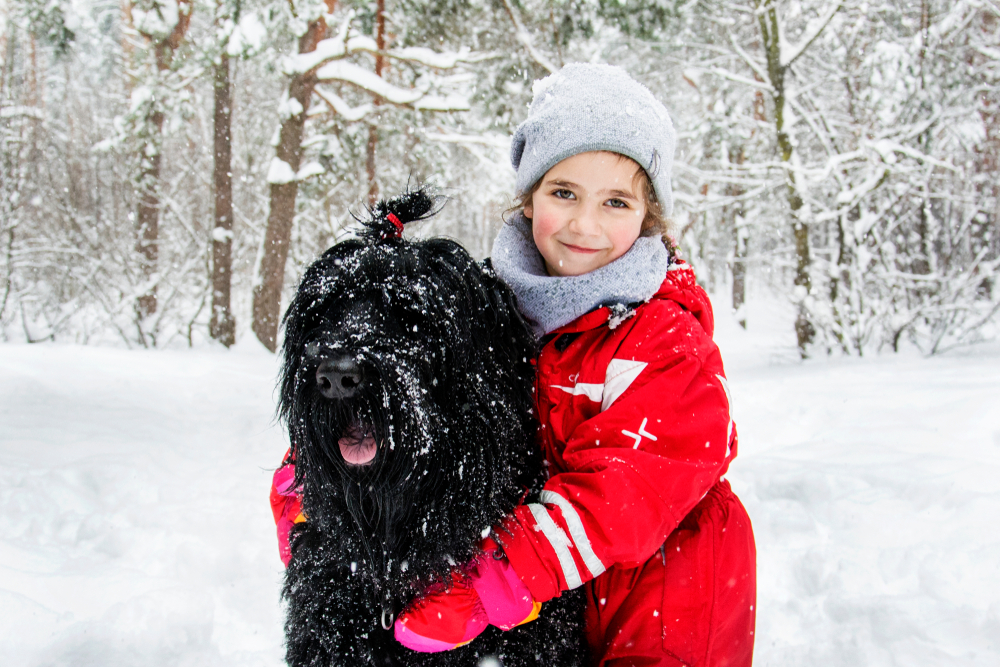 In winter, snow falls in the snowy forest, two little girl play with a big Russian black terrier.