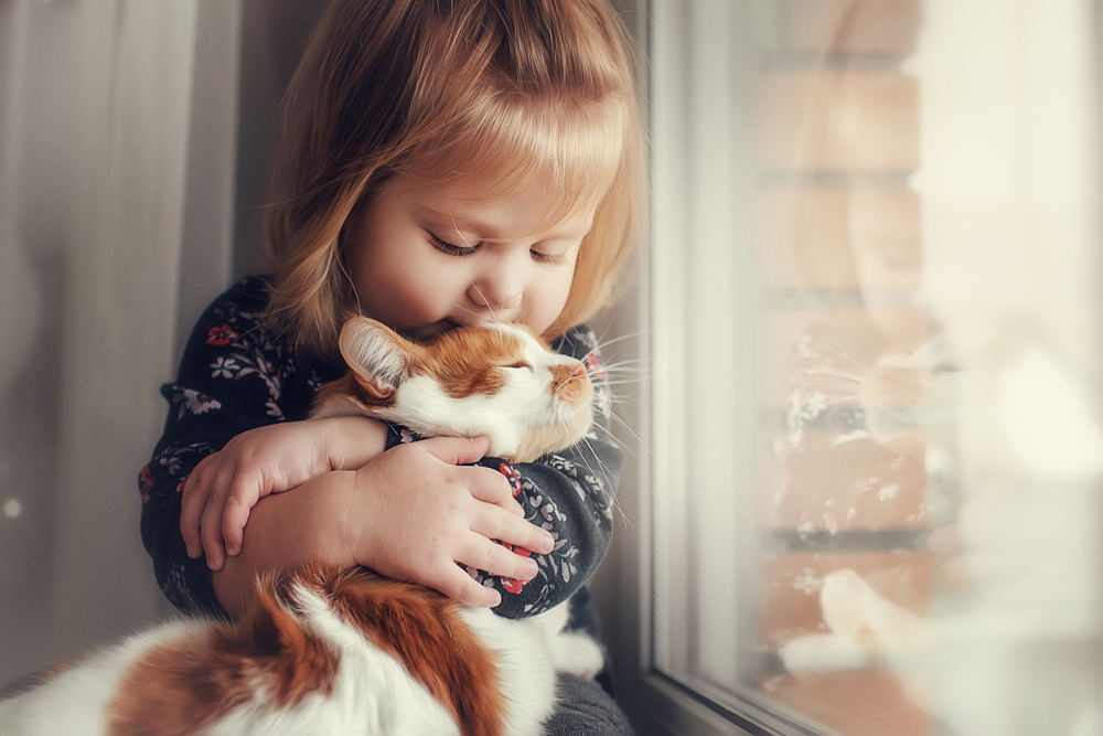 愛猫をかわいがる様子