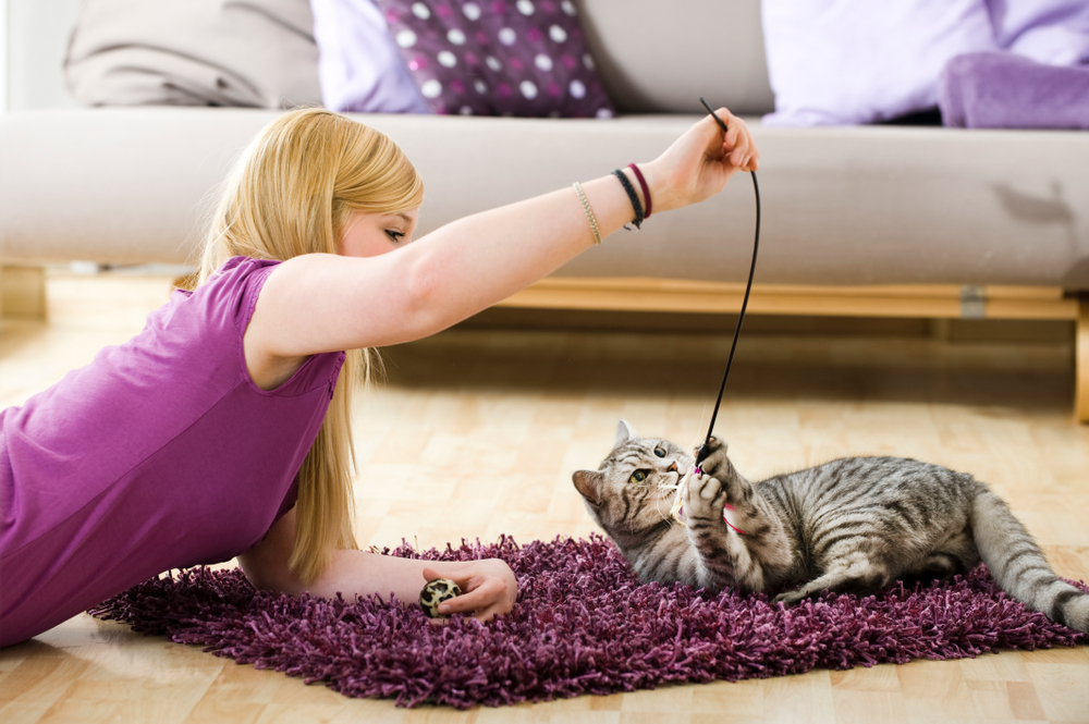 猫もおもちゃを投げると持ってくる？！猫の行動の心理と対応の仕方を解説！【最新版】