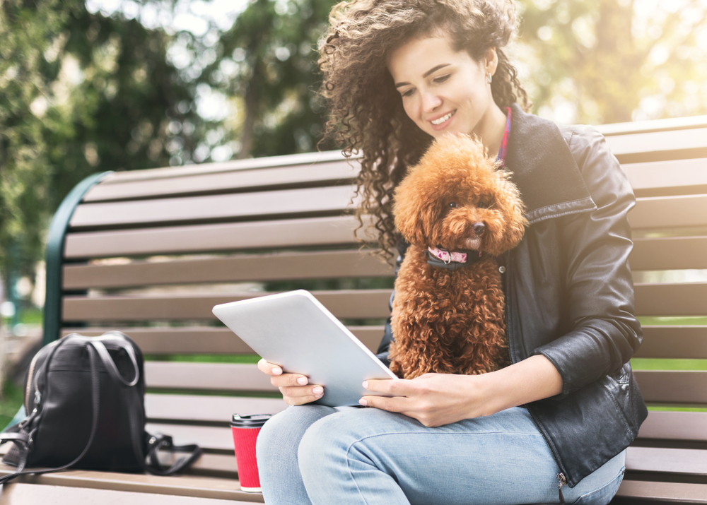 Happy girl with tablet and dog outdoors. Curly woman surfing the web with her puppy on bench in city park, copy space