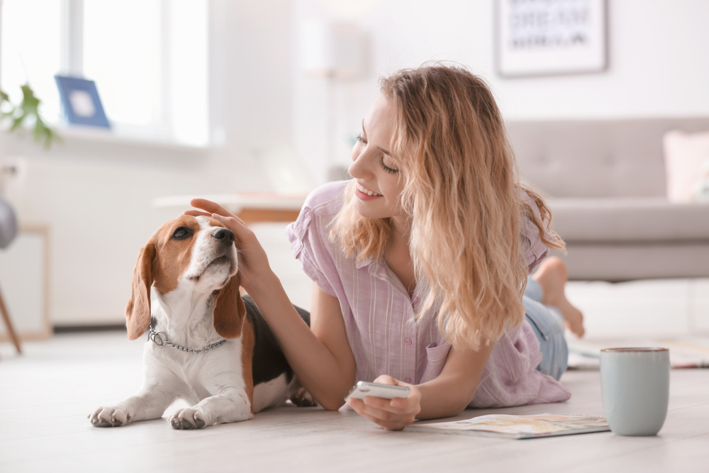 愛犬を室内で放し飼いをするなら知るべき４つの注意点。