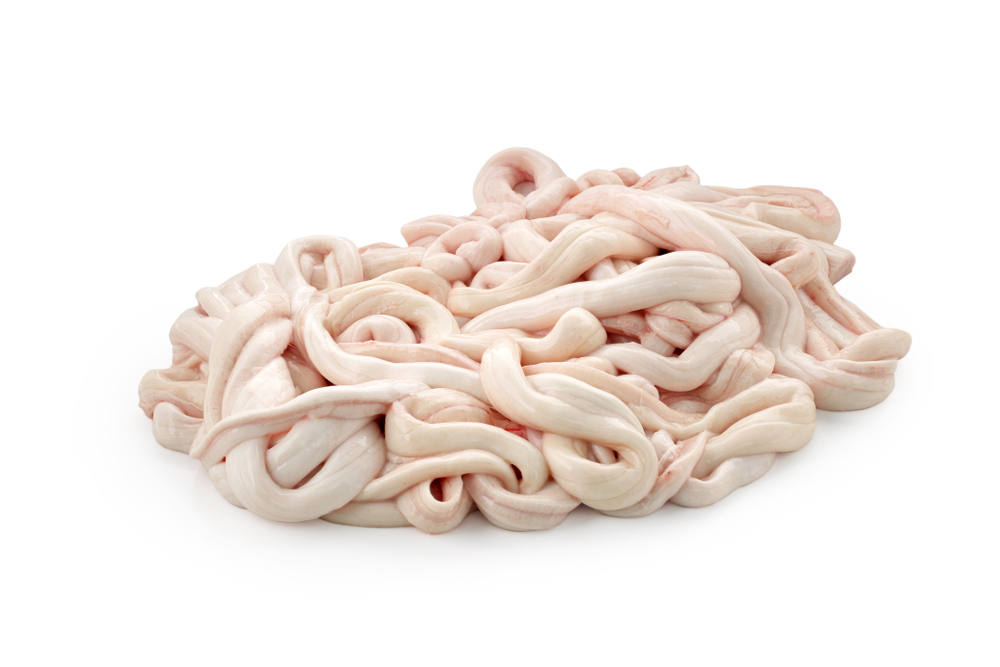 raw pig intestine on white background