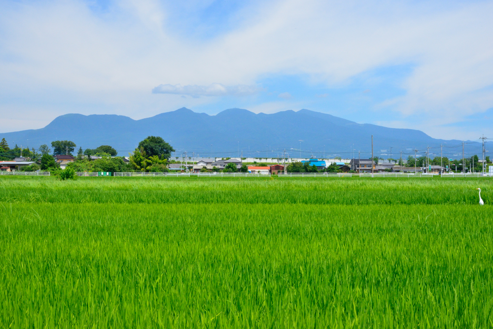 View of Mt.Akagi
