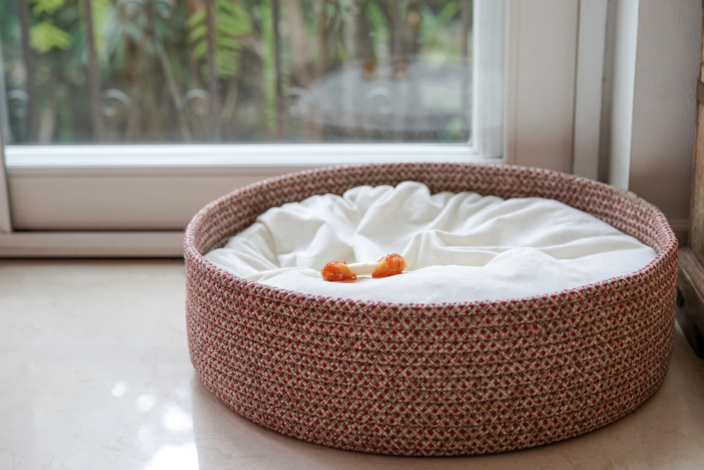 An empty dog bed basket with only dog bone snack left on the bed with copy space; concept for missing dog