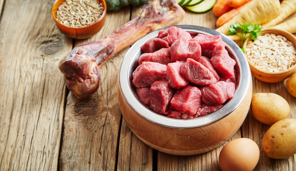 Healthy fresh pet food ingredients on a rustic floor including raw meat in a bowl, a large bone, vegetables , eggs and grains