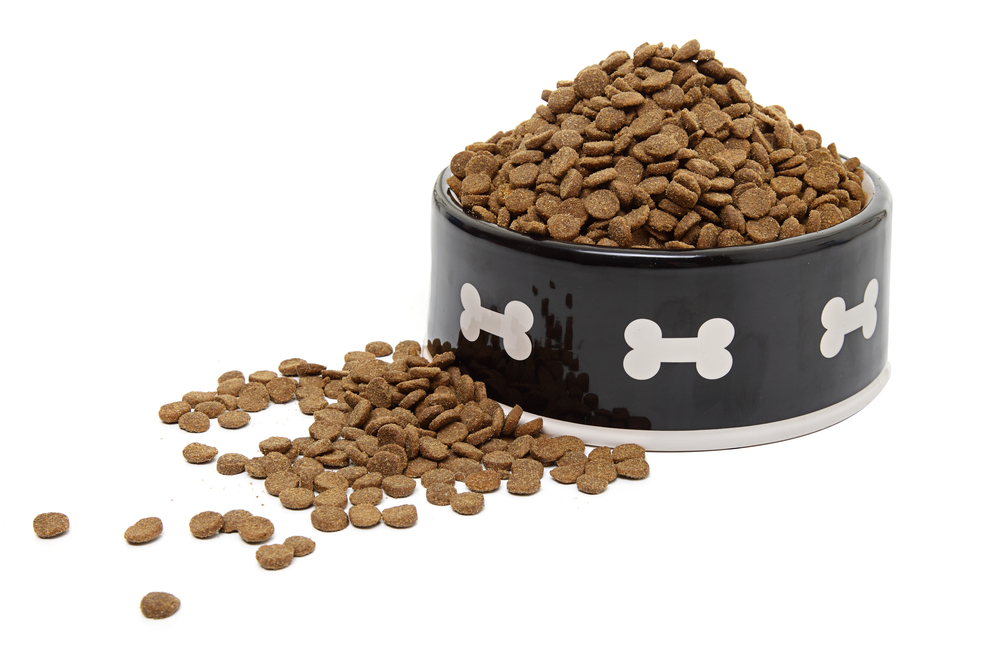 A large bowl of dog food spilling onto a white background.