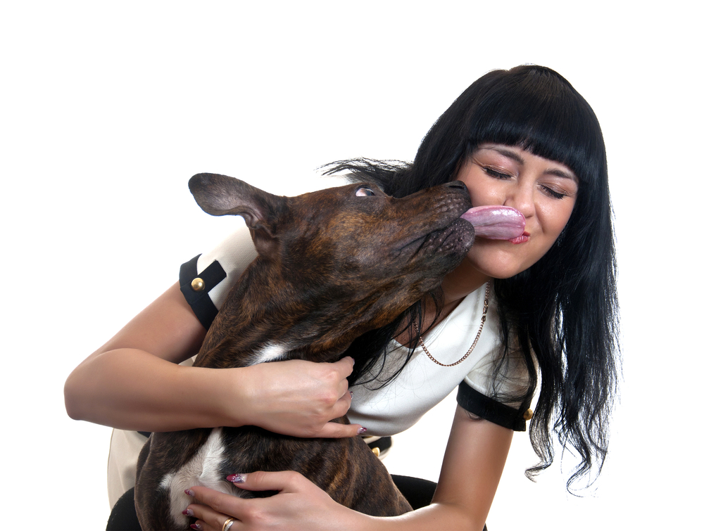 Dog kissing girl