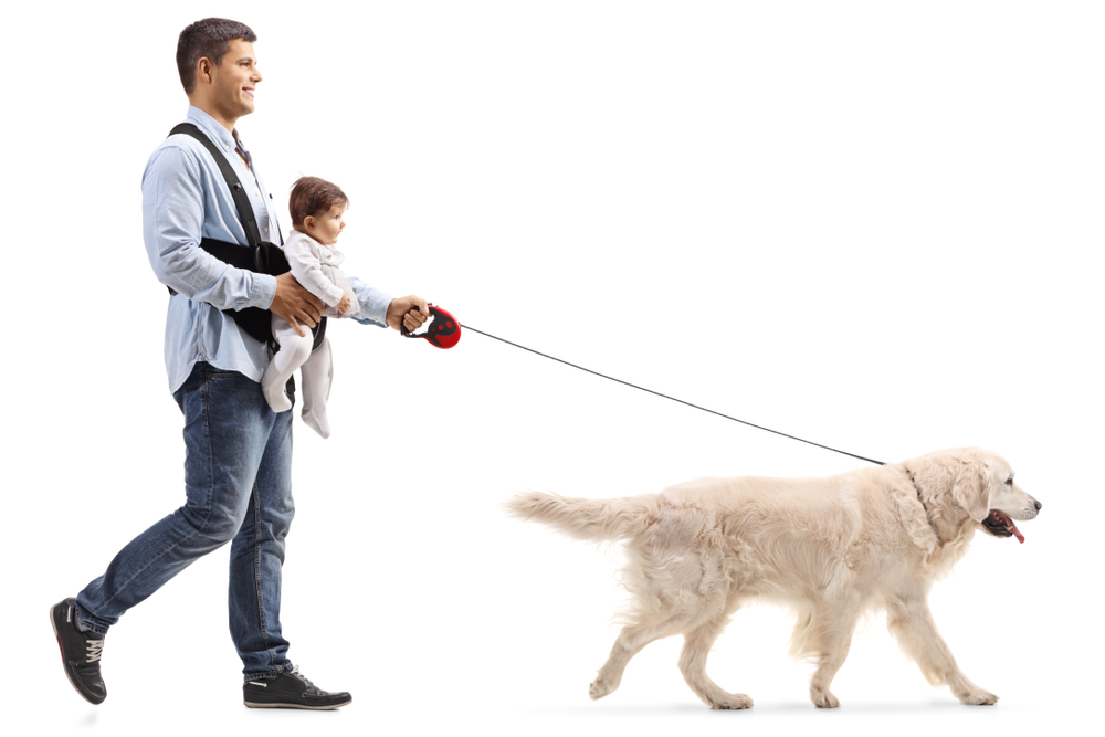 赤ちゃんを抱っこしながら愛犬の散歩をする男性