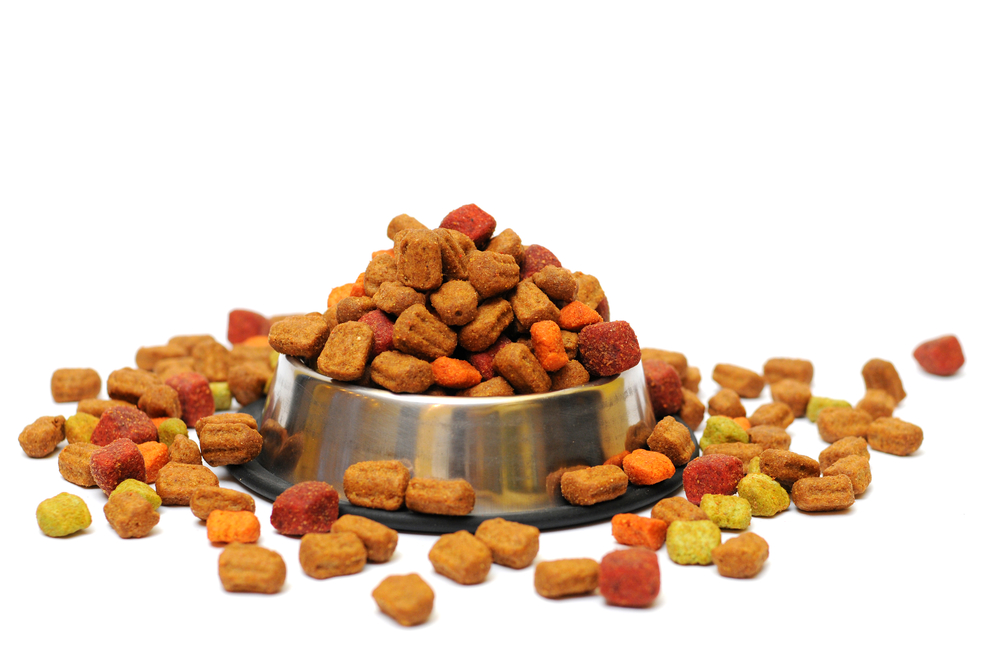 pet food in a silver bowl on a white background