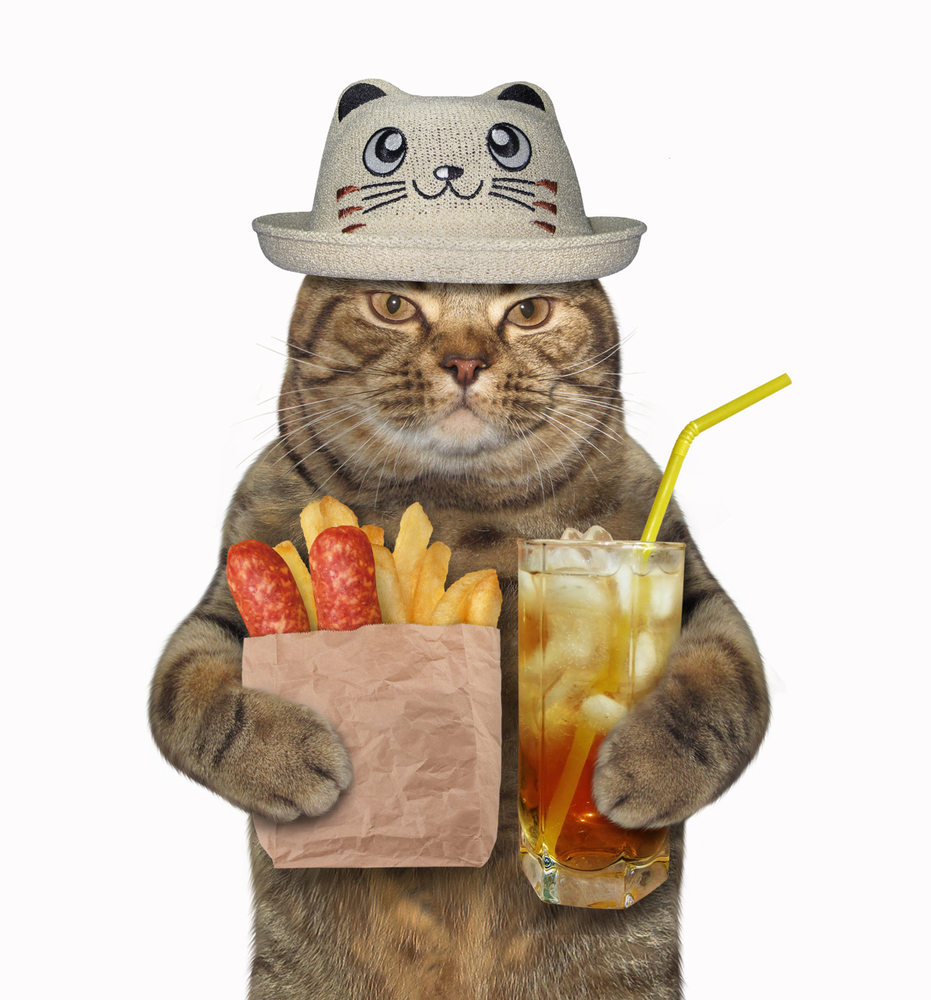ソーセージとフライドポテトが入った紙袋とジュースを手に持った猫