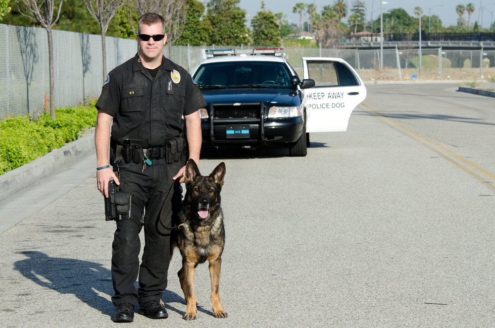 A K9 police officer standing with his partner with their patrol car in the background.
