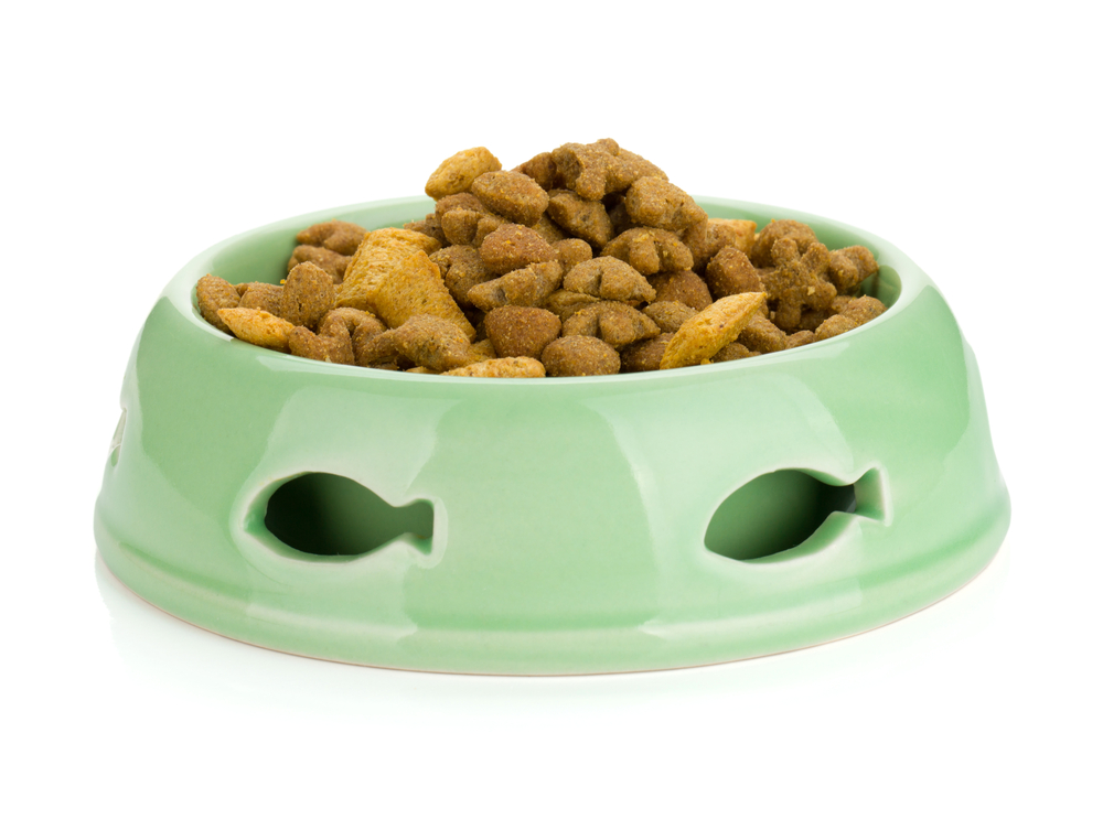 Cat food in a bowl. Isolated on white background