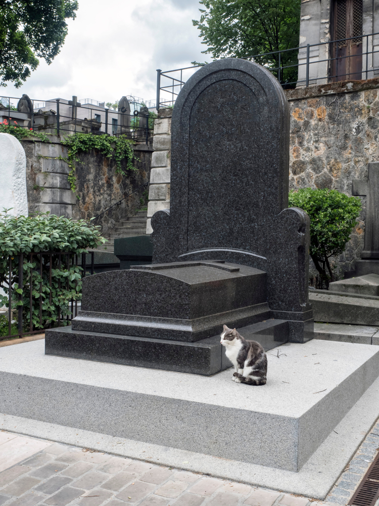 お墓の前にいる猫