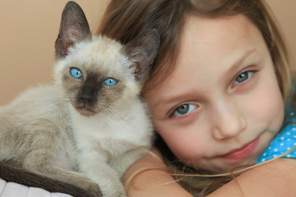 little girl with kitten