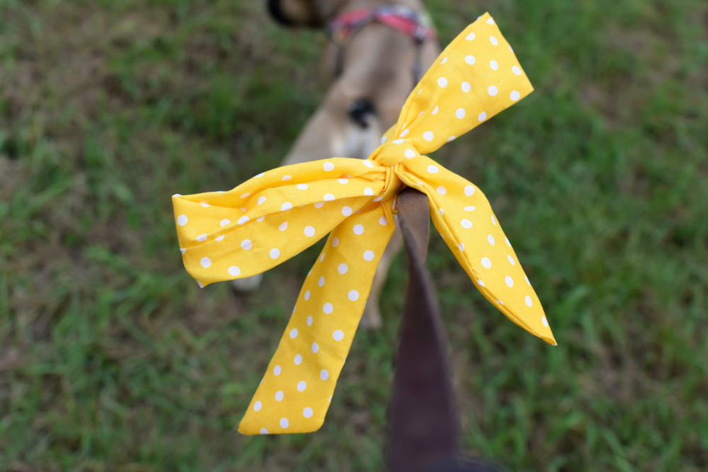 黄色いリボンをつけた犬が目印！イエロードッグプロジェクトについて詳しく紹介