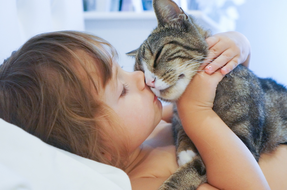 猫と子どもの相性って良い？悪い？猫を飼うことが子どもに与える影響について解説！