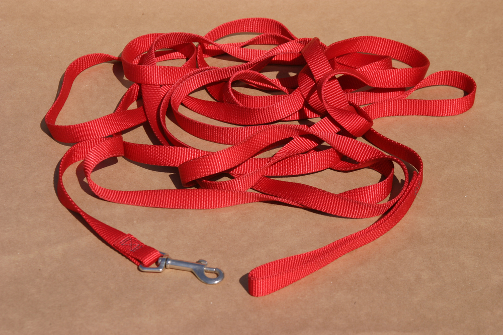 long red dog leash