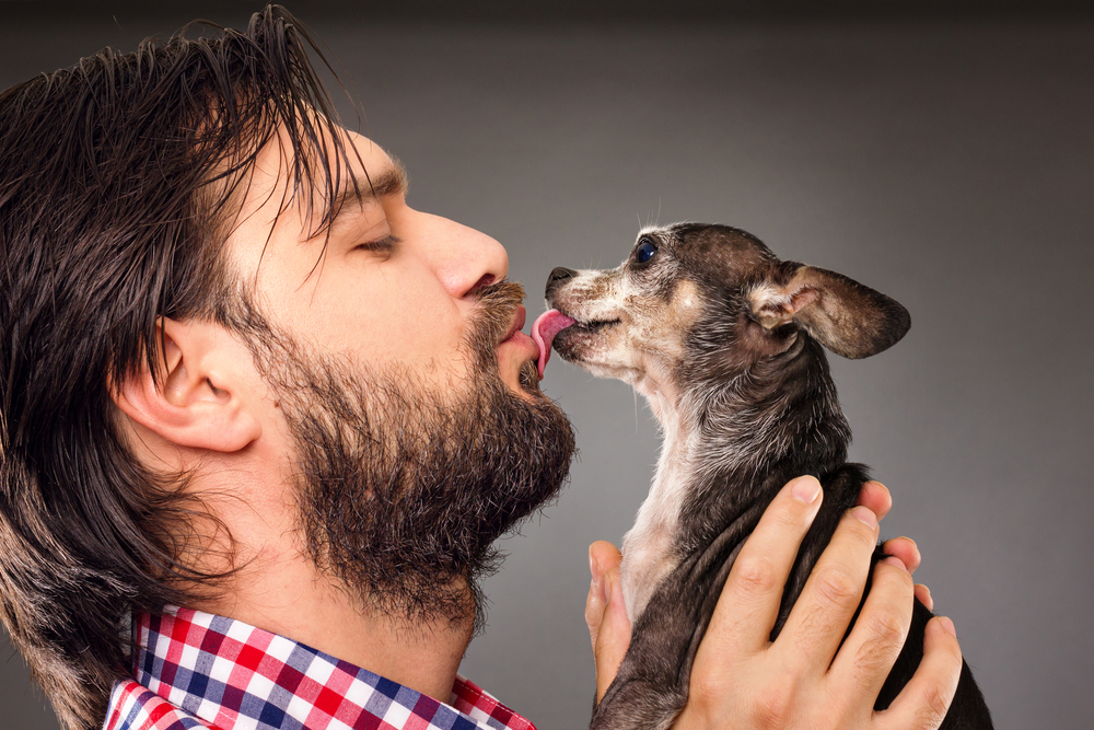 愛犬がキスをしてくる理由！ 口から〇〇の匂いがする？ 正しい接し方を解説。
