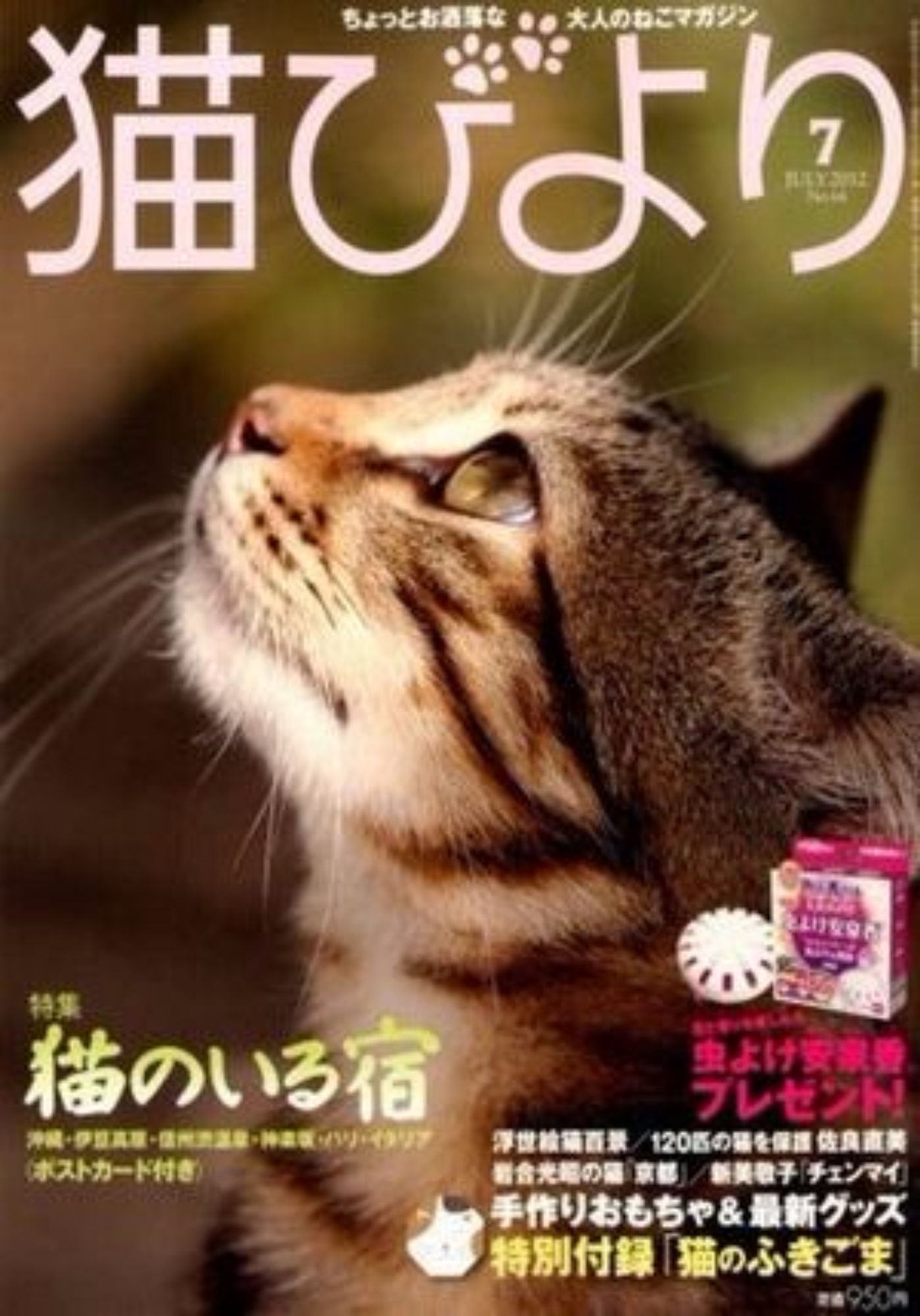 猫びより　雑誌