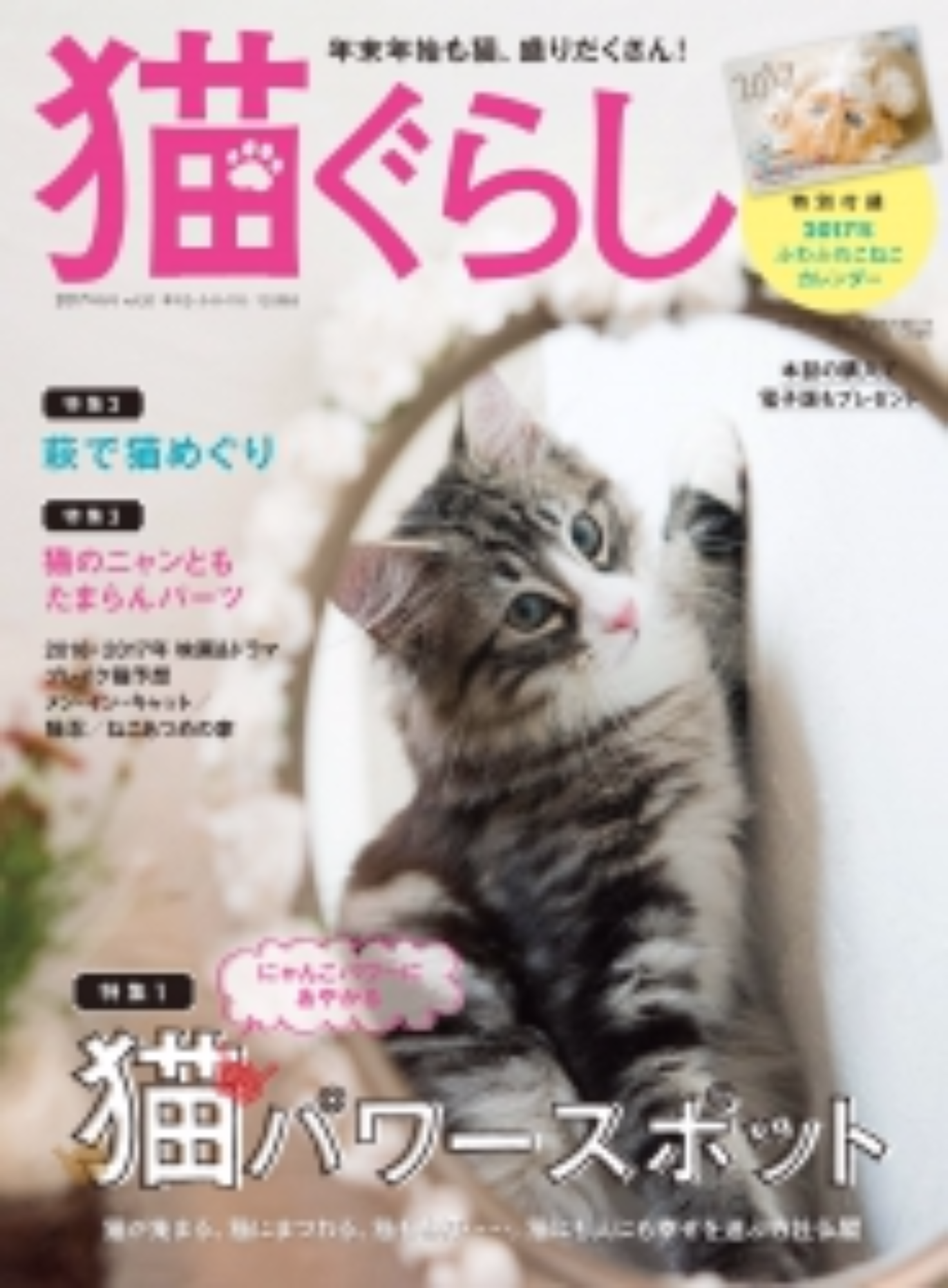 猫ぐらし　雑誌