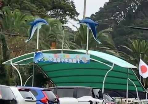 下田海中水族館