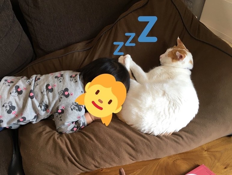 子どもと寝ている猫