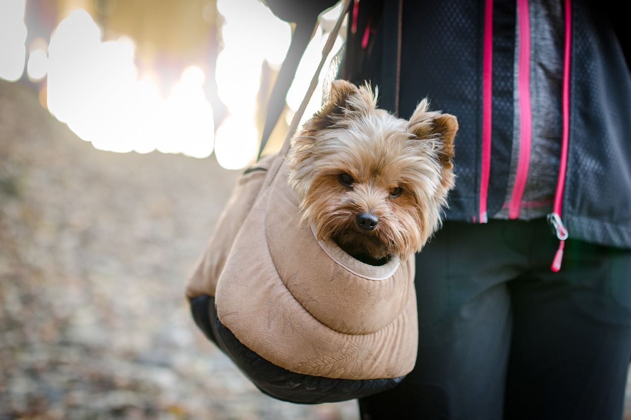 犬　バッグ