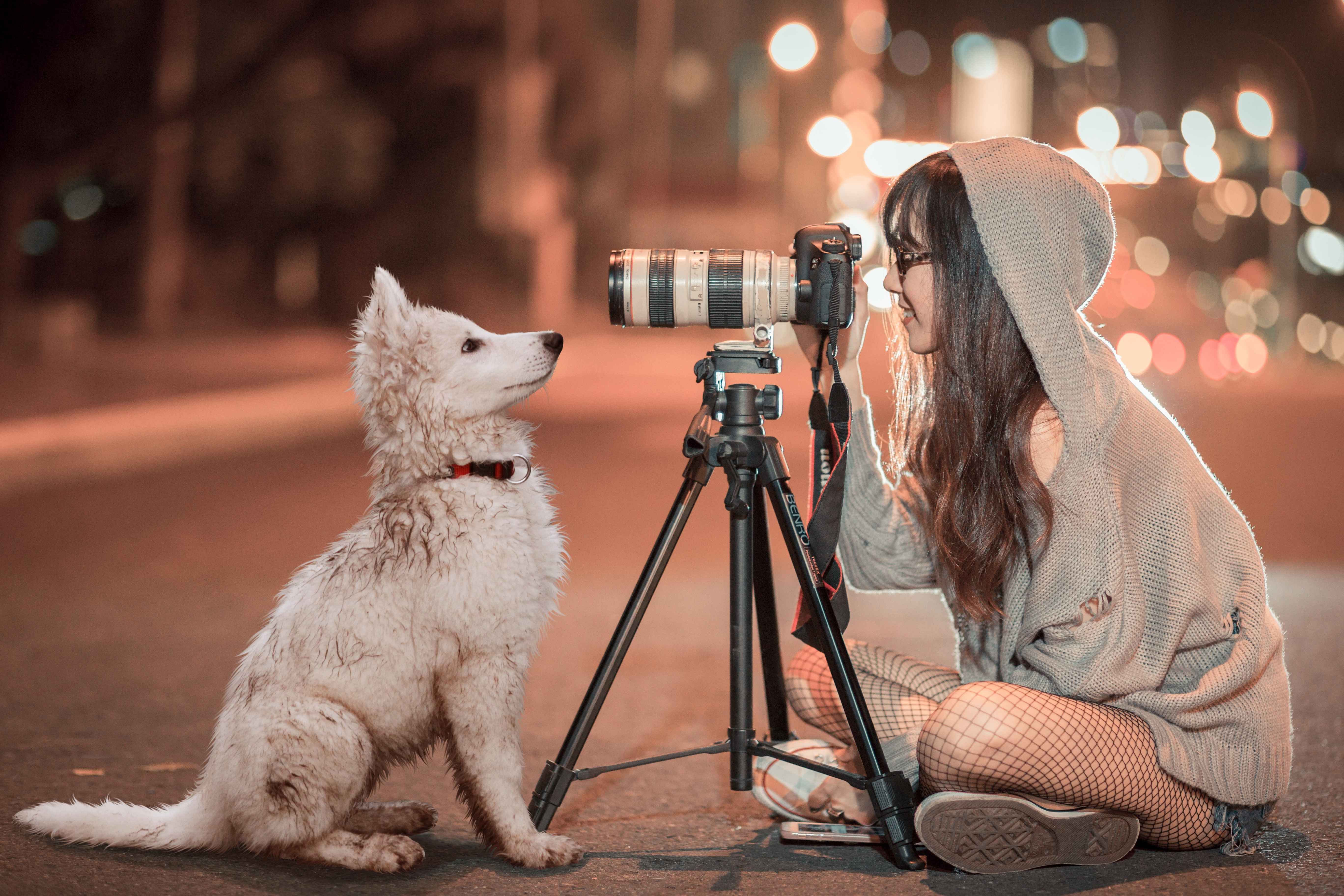 犬にカメラを向ける女性