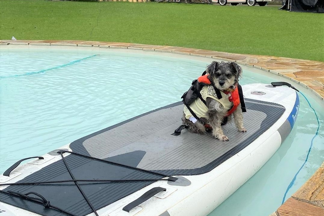 ジープでドライブしてボートで水遊びして…とってもアクティブで運動神経抜群な犬のギュリちゃん