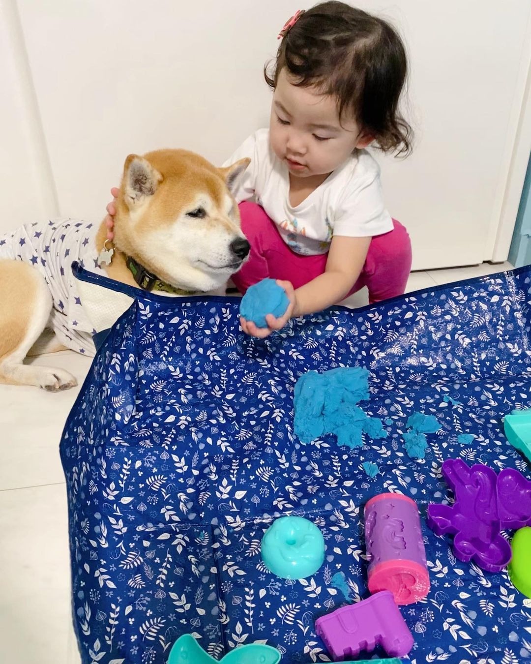 犬と子供
