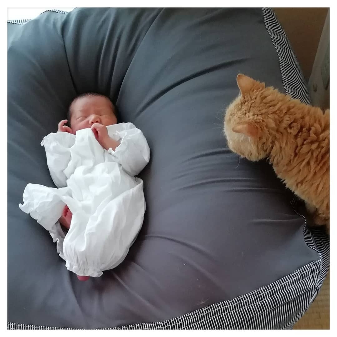 赤ちゃんとセルカークレックス