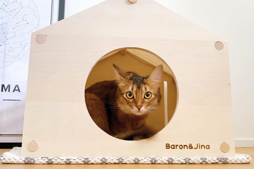 新しいお家は木の家だニャ♪ぴったりサイズのお家に大満足の猫ちゃんズが可愛い！