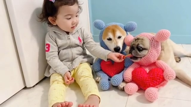犬と子供