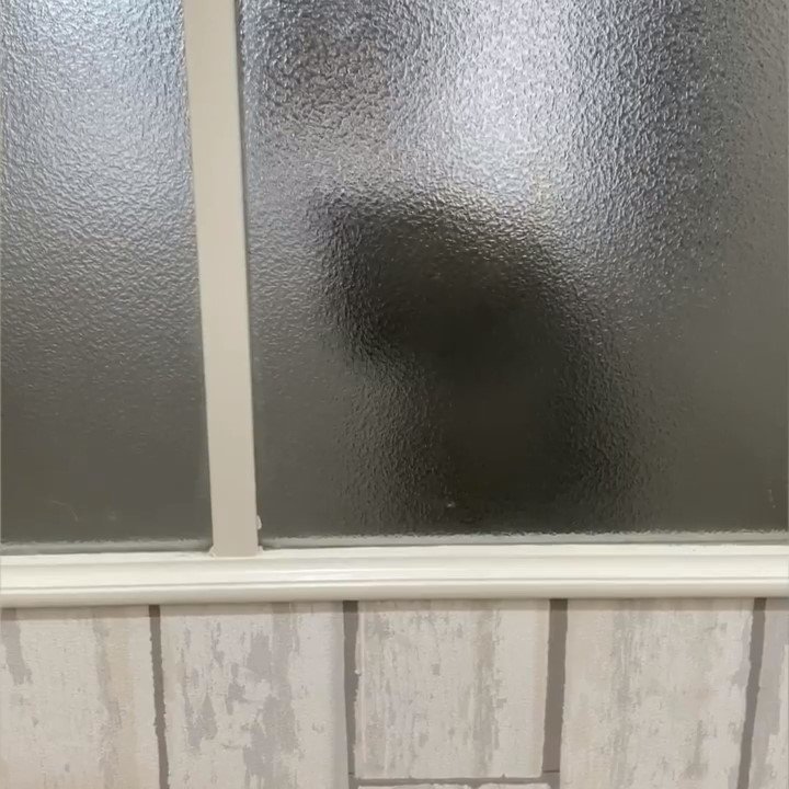 窓の向こう側に座る猫