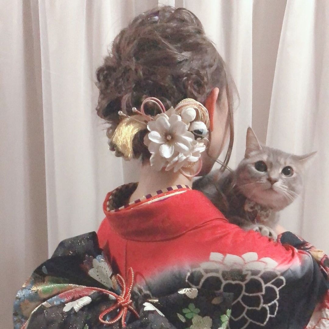 着物の女性に抱かれる猫