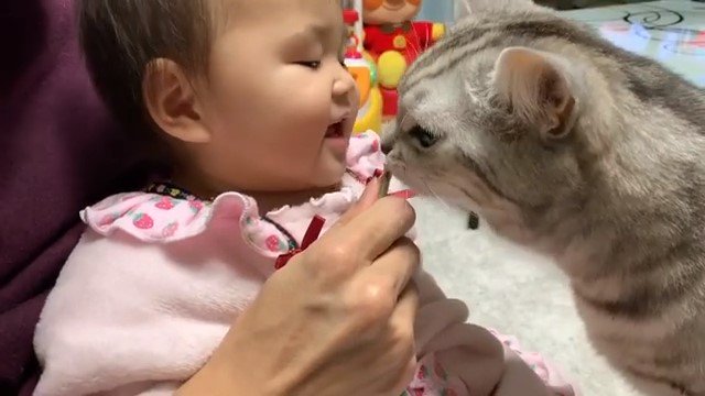 おやつを食べる猫と女の子