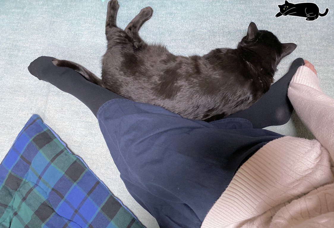 足に添い寝する黒猫