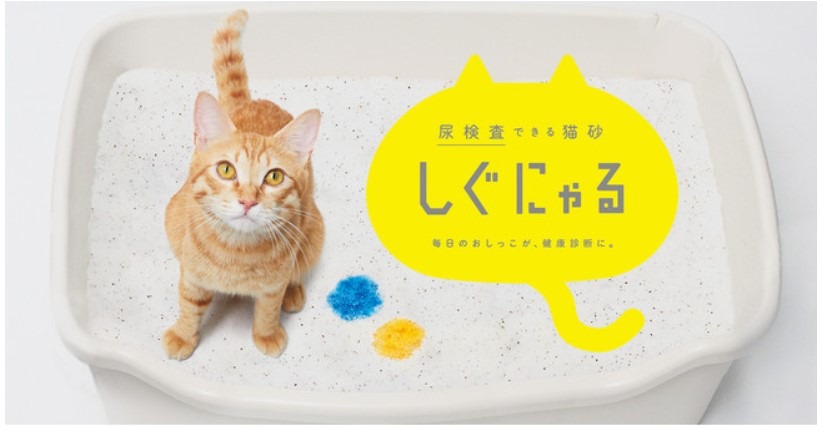愛猫の尿検査ができる猫砂『しぐにゃる』が一般発売開始。毎日のおしっこで健康管理！