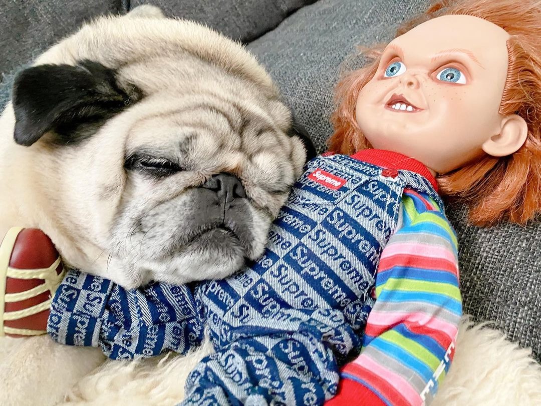 犬と人形