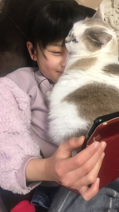 女の子の上に乗る猫