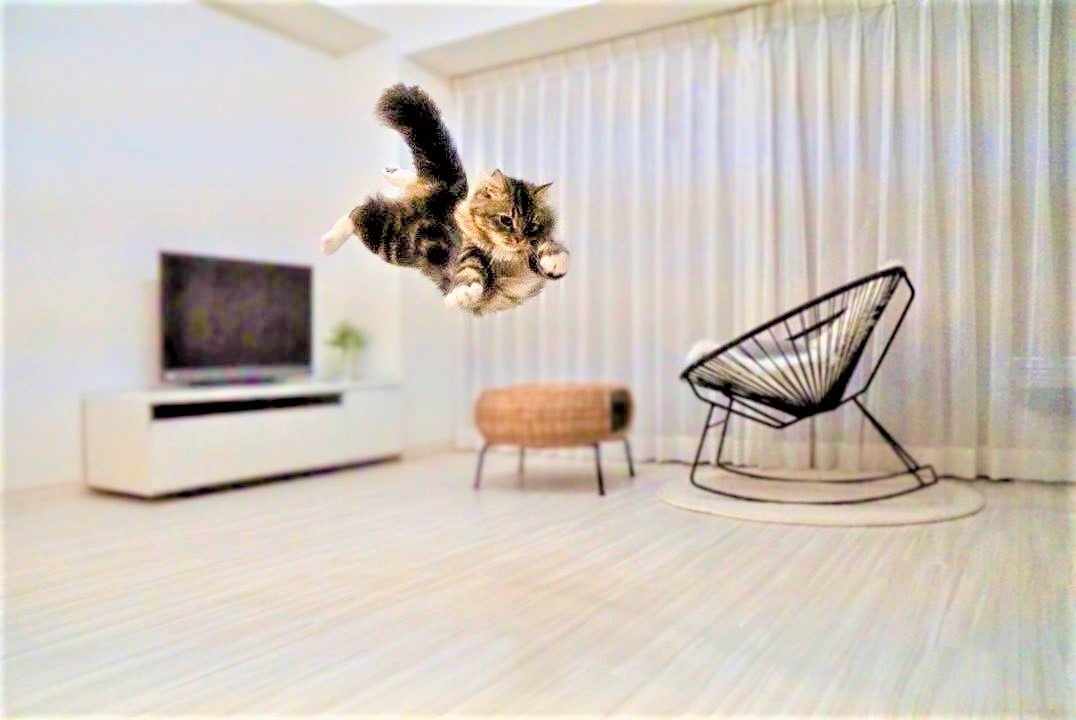 「特技は空中浮遊です」遊び方がダイナミックすぎる猫ちゃんに驚きの声続々！