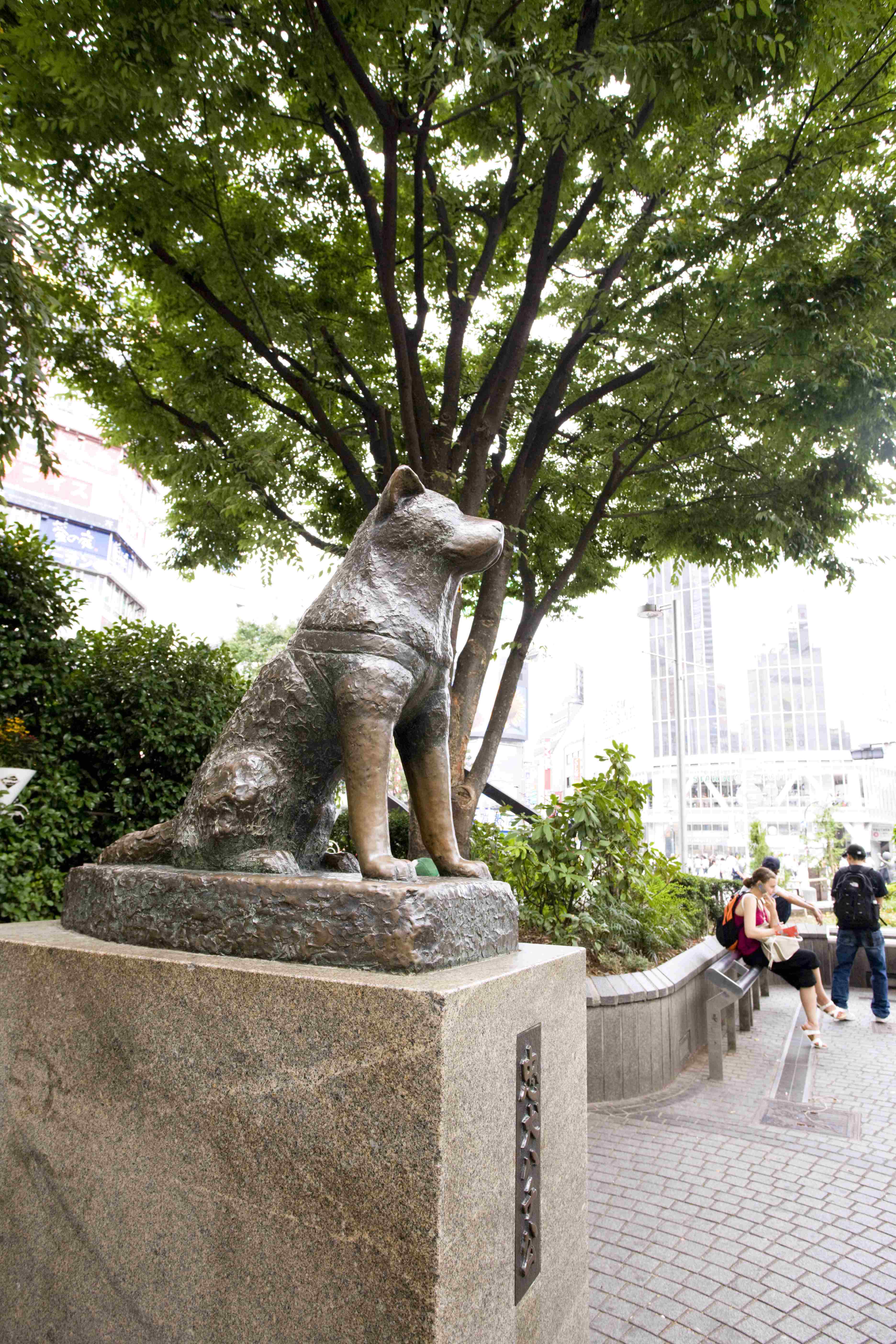渋谷ハチ公　銅像