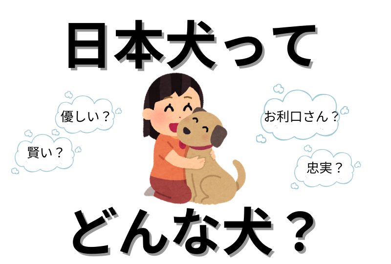 【日本犬クイズ】日本犬ってどんな性格？