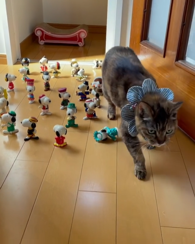 スヌーピーのおもちゃの上を歩く猫