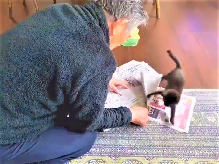 遊びたい子猫VS新聞を読みたいお父さん！ほんわか攻防戦に10万人が癒された