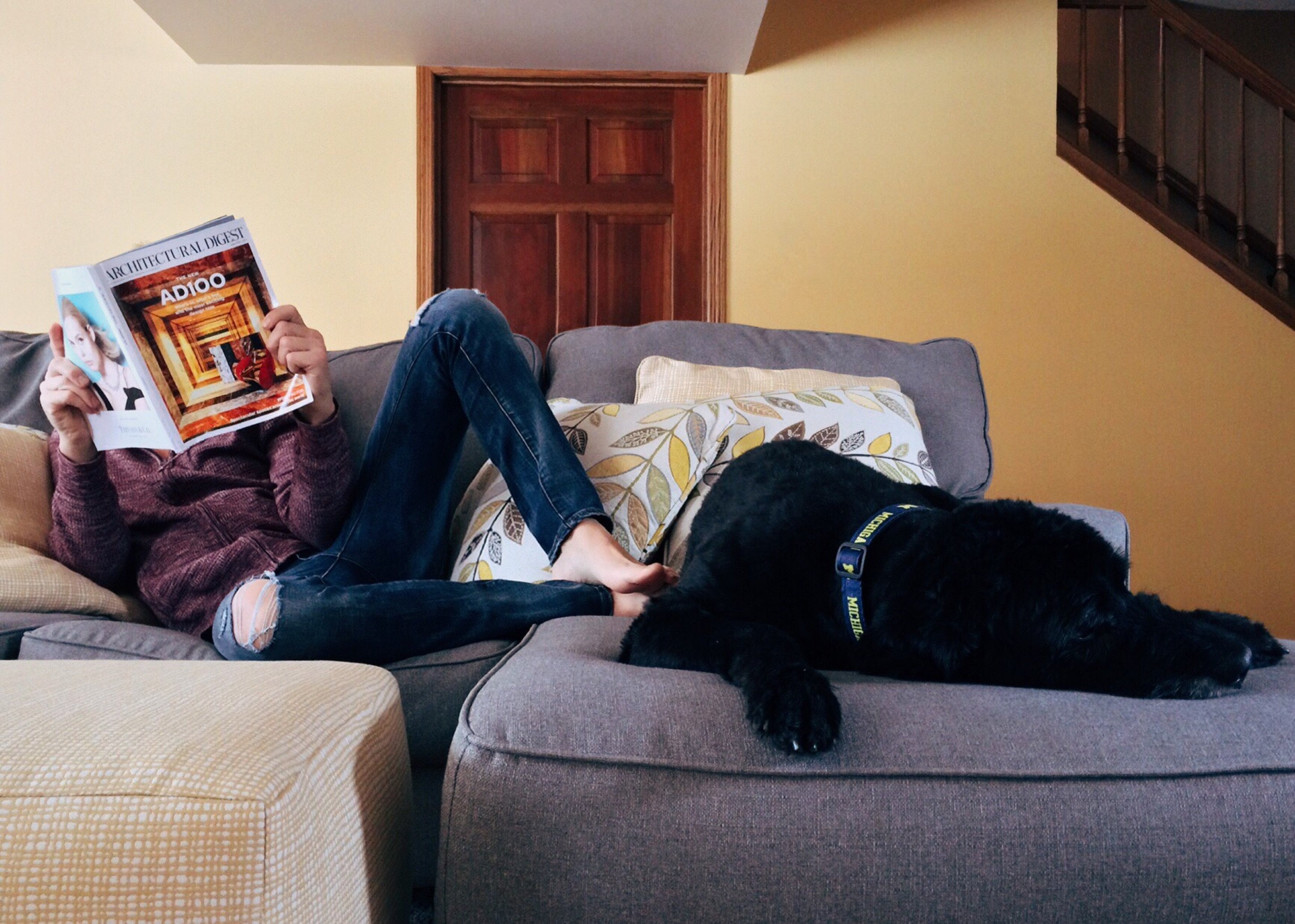 雑誌を読んでいる人のそばで寝ている犬
