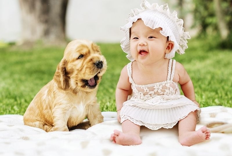 【ドッグトレーナー監修】犬にも母性本能はある？人間の赤ちゃんに優しくできるワンコとは【2023年版】