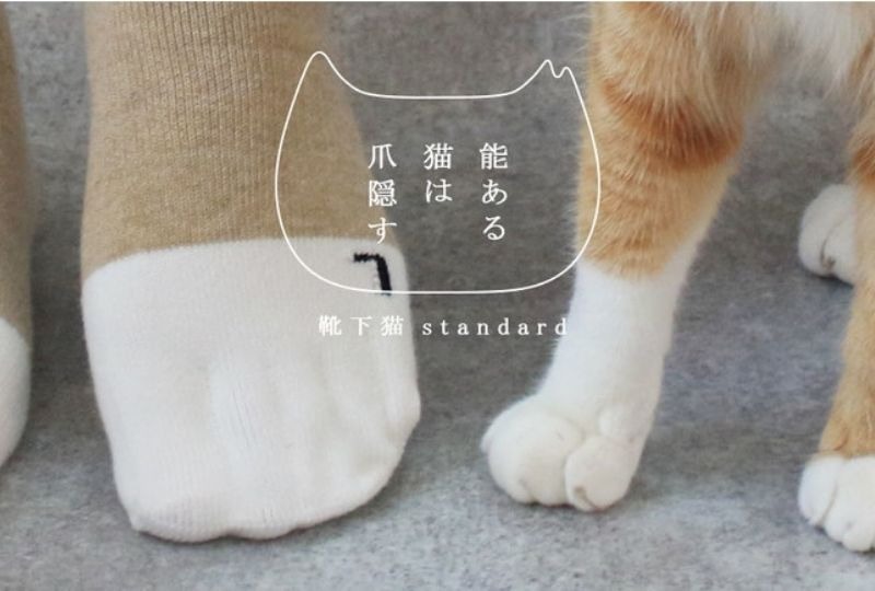 「飼い猫は家族」なあなたへ！猫の足に変身できる「猫足靴下」がおすすめ！
